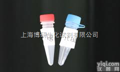 磷酸化S6<em>核糖体</em>蛋白抗体,Phospho-S6RP,Ser240/24...