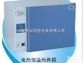 <em>DHP-9052  DHP-9052电热恒温培养箱</em>