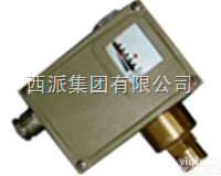 <em>D502/7D压力控制器  D502/7D压力控制器</em>