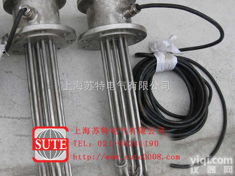 BSW系列  <em>插入式</em>防爆<em>加热器</em>