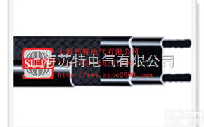 电厂脱硫<em>专用</em>自限温<em>电热带</em>  电厂脱硫<em>专用</em>自限温<em>电热带</em>