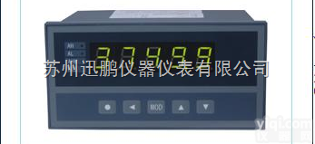 苏州迅鹏<em>XSE增强型单输入通道仪表</em>报警仪
