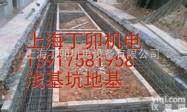 SCS  物超所值‰闵行地磅-闵行电子地磅-闵行磅称<em>厂家</em>（AC<em>进口</em>传感器）