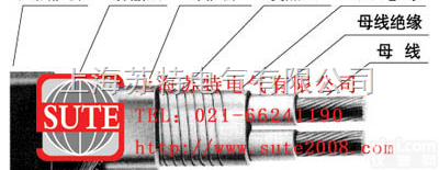 <em>电热带</em>  <em>电热带</em>