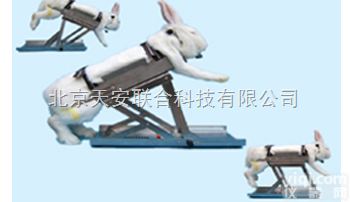 兔<em>固定架</em> 兔<em>固定器</em>