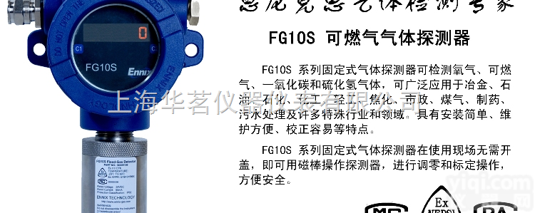 FG10S  <em>恩尼</em><em>克思</em>FG10S<em>一氧化碳</em>监测仪