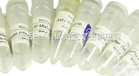 CAS:<em>39409</em>-82-0,<em>碱式碳酸镁</em>,轻质碳酸镁,盐基性碳酸镁,M...