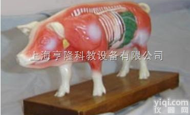 <em>针灸</em>模型|动物<em>针灸</em>模型（猪体<em>针灸</em><em>教学模型</em>）