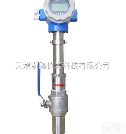 LDC-DN10  测介质为稀硫酸，<em>不锈钢插入式电磁流量计</em>