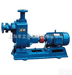 100ZW100-20  自吸无堵塞排污泵-ZW100-100-20<em>污水自吸泵价格</em>|尺寸图