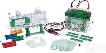 <em>小型</em>垂直<em>电泳槽</em>  美国伯乐<em>小型</em>垂直<em>电泳槽</em>165-8000 价格优惠