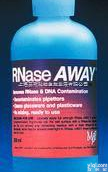 RNase AWAY<em>表面</em><em>去污剂</em> <em>价格优惠</em>  赛默飞世尔Thermo Scientific RNase AWAY<em>表面</em>...