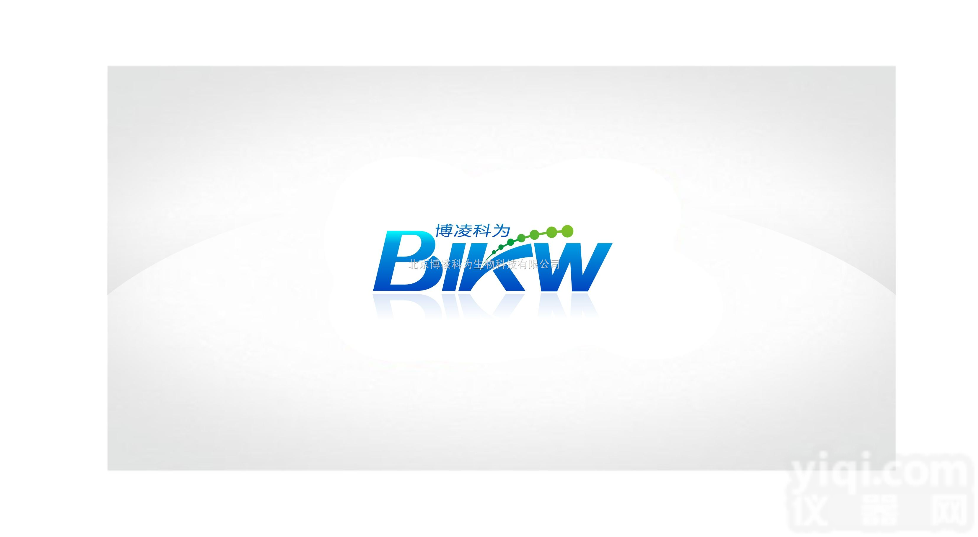 <em>ECL底物化学发光检测试剂盒</em>