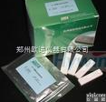 ON02  沙丁胺醇<em>检测卡</em>/食用肉中<em>瘦肉精</em>含量<em>检测卡</em>/尿液沙丁胺醇<em>检测卡</em>