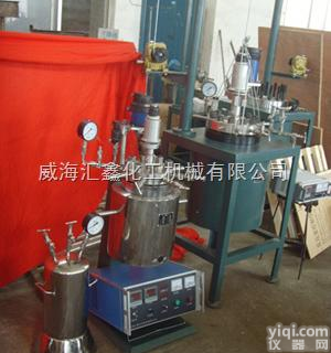 <em>GSHA</em><em>反应釜</em>，<em>GSHA</em>升降翻转高压釜