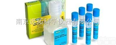 <em>SsoFast</em> EvaGreen <em>预混</em>液含ROX