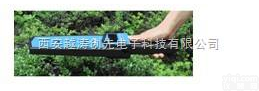 YT00941  <em>植物</em><em>光谱仪</em>/<em>植物</em>光谱<em>分析仪</em>/<em>植物</em>营养胁迫测定仪