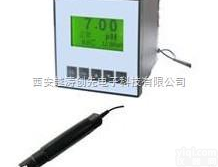 YTPHK-612  <em>中文在线PH计</em>/中文在线PH仪