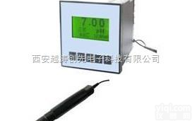 YT 01339  <em>中文在线PH计</em>/中文在线PH仪