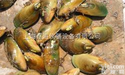 FPN<em>贝类</em>粘贴<em>标记</em>