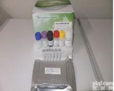 NA-E10729  人SKP1的G2<em>等位</em><em>基因</em>YZ因子（SUGT1）ELISA试剂盒
