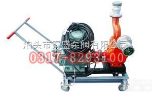 泰盛<em>泵业</em>100YPB-100移动式<em>滑片</em>泵高品质