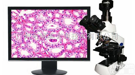 ME21  MSHOT<em>陕西</em>进口数码<em>显微镜</em>、<em>陕西</em>数码<em>显微镜</em>、<em>陕西</em><em>显微镜</em>