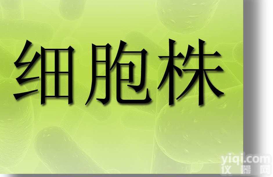<em>鼠伤寒沙门氏菌Ta98</em>