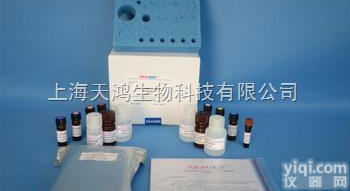 人血管紧张素转化酶（ACE）Elisa试剂盒Kit