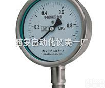 Y-60BF/Y-<em>100</em>BF  <em>不锈钢</em><em>压力表</em>Y-60BF/Y-<em>100</em>BF