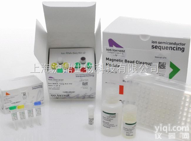 卵清蛋白特异性<em>IgG</em><em>豚鼠</em>ELISA<em>试剂盒</em>