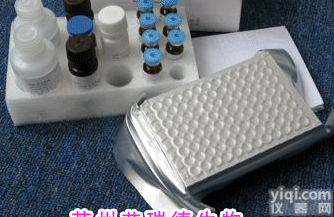 CFC036D  <em>氯霉素</em>快速<em>检测</em><em>试剂盒</em>