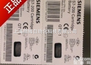 <em>西门子S7-200PLC电池</em>