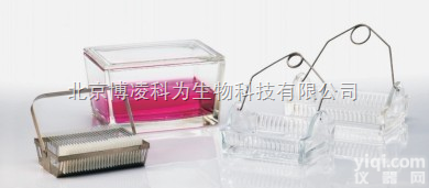 滑槽<em>单元</em><em>染色</em>皿  <em>染色</em>皿，16-40个滑槽<em>单元</em>