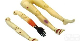 KAH/110-10  高级<em>创伤</em><em>四肢</em><em>模型</em>