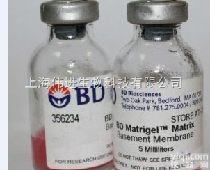 PrimeSTAR HS DNA <em>Polymerase</em> （ <em>高保真</em>与较...