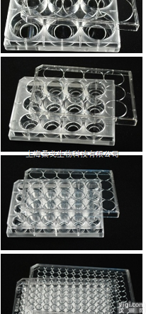 <em>Multiwell</em> <em>Culture</em> Plates多孔培养板