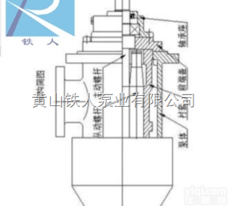 SJ660-46  SJ系列<em>浸没</em>式安装低压<em>螺杆泵</em>铁人泵业