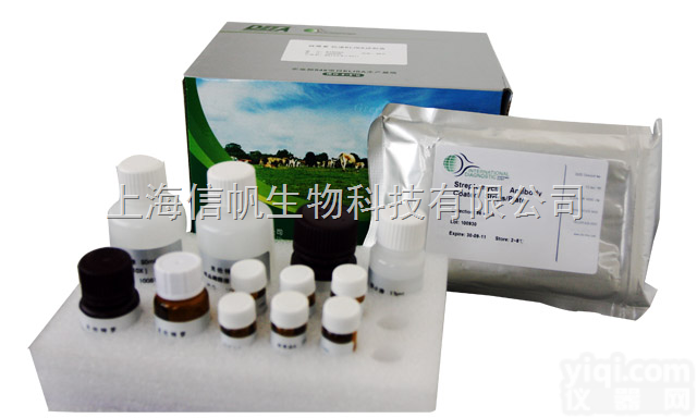 人<em>血管</em><em>生成素</em>1（ANG-1）-ELISA<em>试剂盒</em>说明书，ANG-1<em>试剂盒</em>...