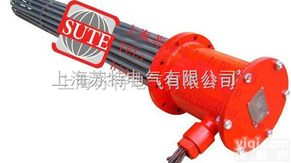 SW-□  <em>法兰</em>（<em>插入</em>）式<em>电加热器</em>