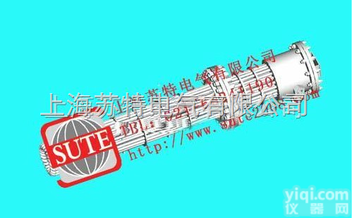 ZY系列  <em>ZY系列插入式电加热器</em>