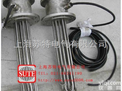 BSW系列  BSW系列<em>插入式</em>防爆<em>加热器</em>