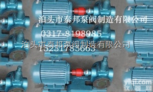 YCB船用  YCB圆弧船用泵/ZYB燃烧器油泵/RY<em>风冷</em>式<em>离心</em><em>热油泵</em>