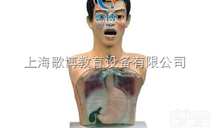 GB/XW  带<em>警示</em>透明<em>洗胃</em>机制模型