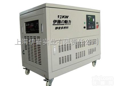 YT12RGF  <em>12KW汽油发电机</em>/静音三相发电机