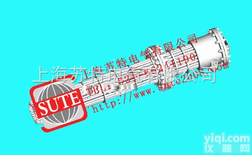 ZY  ZY<em>插入式</em><em>电加热器</em>