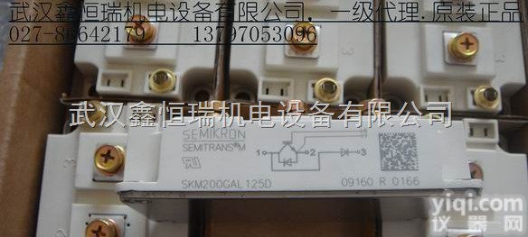 <em>西门</em>康<em>SKM100GB123D</em>