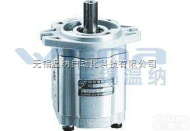 <em>CBTD</em>-F430-<em>ALHL</em>,<em>CBTD</em>-F432-<em>ALHL</em><em>齿轮泵</em>，WE...