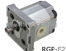 <em>台湾</em>锐力REXPOWER<em>齿轮泵</em>RGP-F205R-12 <em>09Y8</em> 原装...