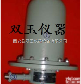 <em>强γ电离室探测装置</em>